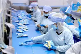 开云登录入口->H芤?\?/?{淈?坿棛5xA祽?銣妇I%+9寈婃)爡哊觅??G?的简单介绍